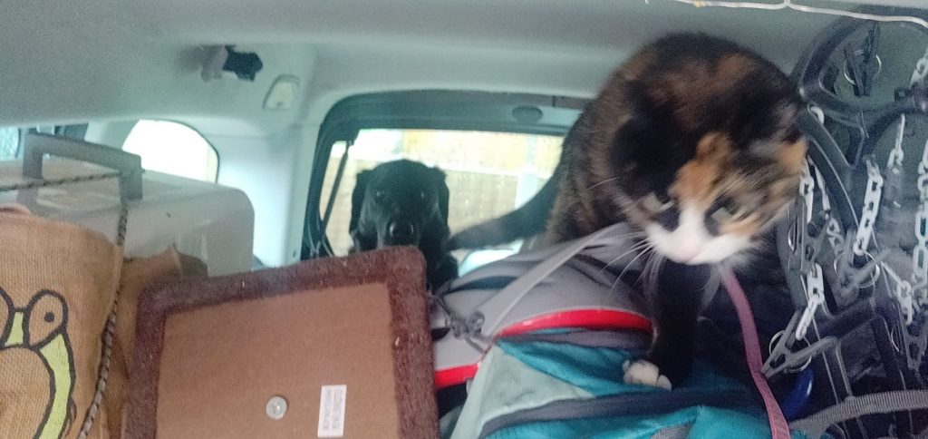 Winter and Layla in the car full of our final few posessions.